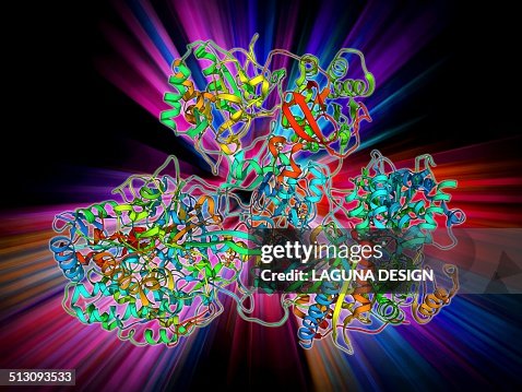 Respiratory complex I Respiratory complex I