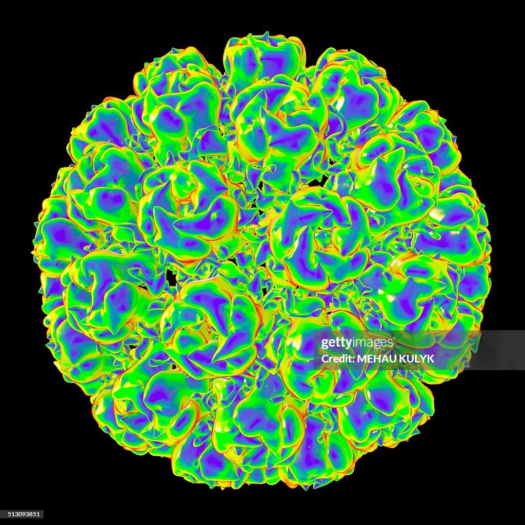 Simian virus 40, artwork