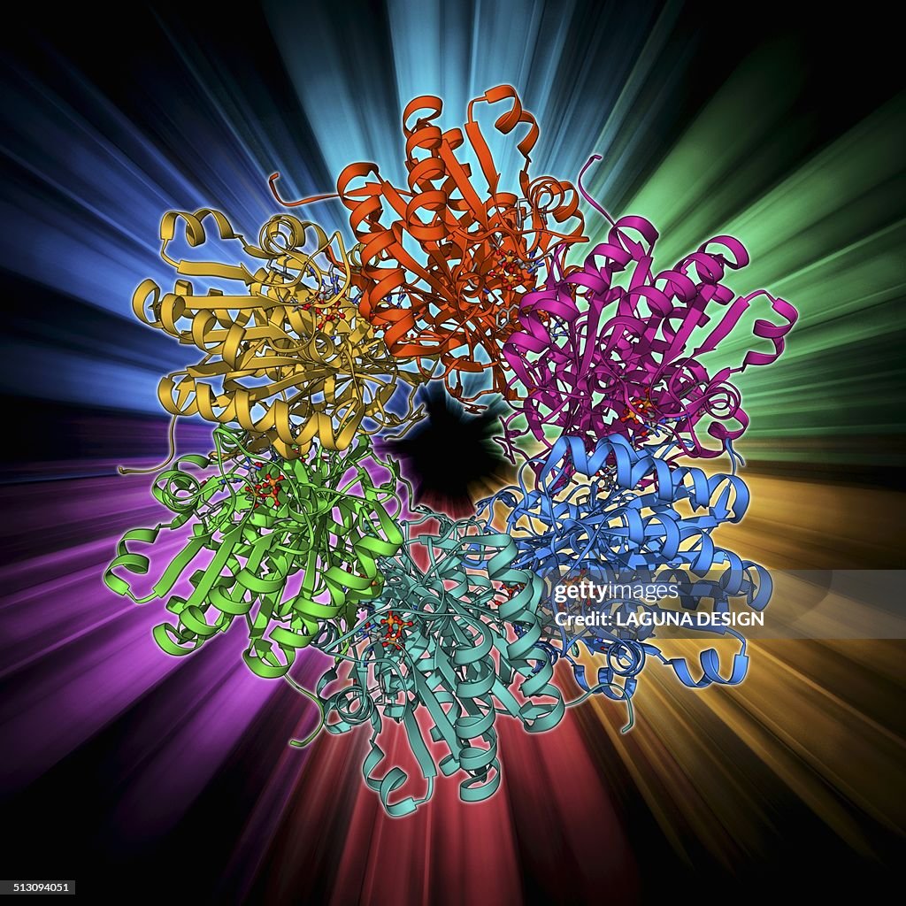 Cyanobacterial circadian clock protein