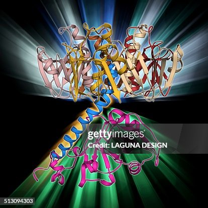 Cholera toxin molecule Cholera toxin molecule
