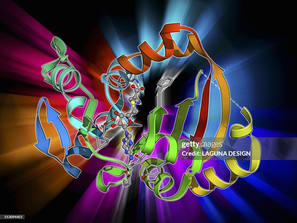 NpmA methyltransferase