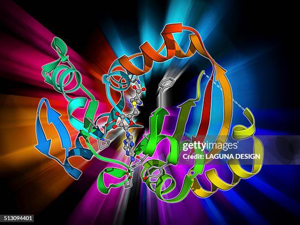 npma methyltransferase - epigenetics stock illustrations