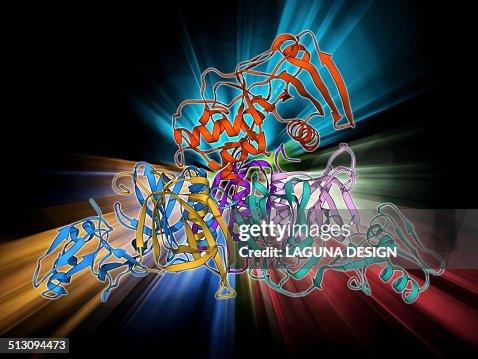 Whooping cough toxin molecule Whooping cough toxin molecule
