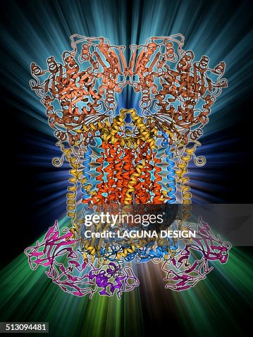 Cytochrome complex molecule Cytochrome complex molecule