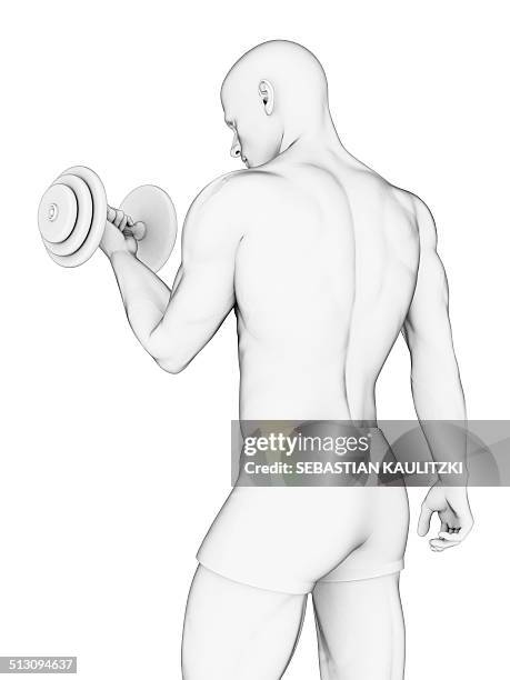 human using hand weight, artwork - hand weights stock illustrations