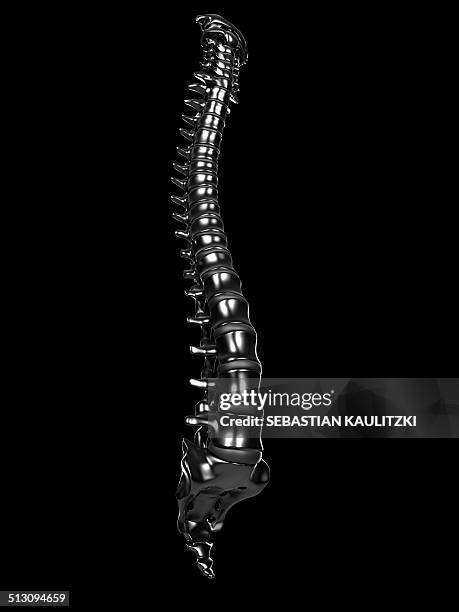 human spine, artwork - spine stock-grafiken, -clipart, -cartoons und -symbole