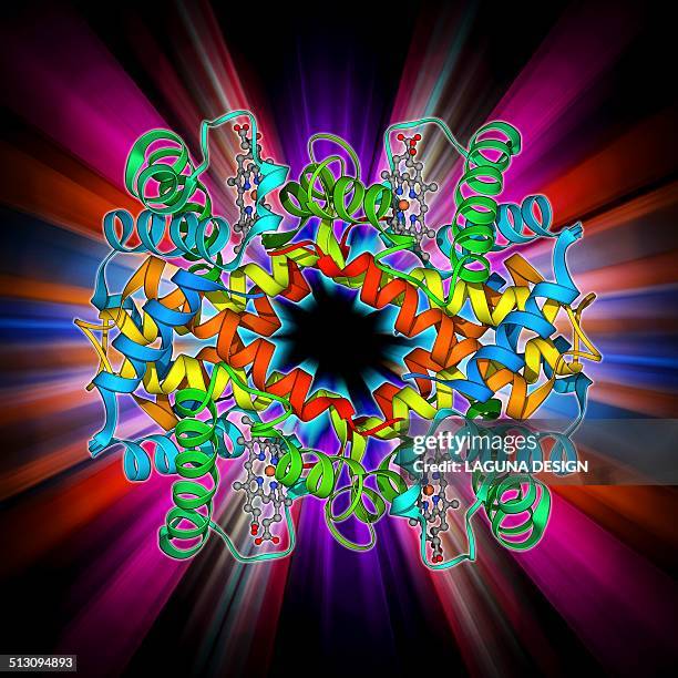 haemoglobin s, molecular model - sickle cell stock illustrations