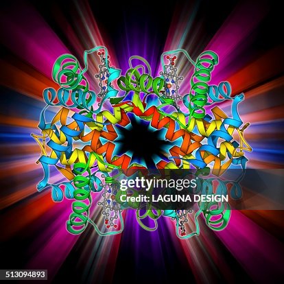 Haemoglobin S, molecular model Haemoglobin S, molecular model