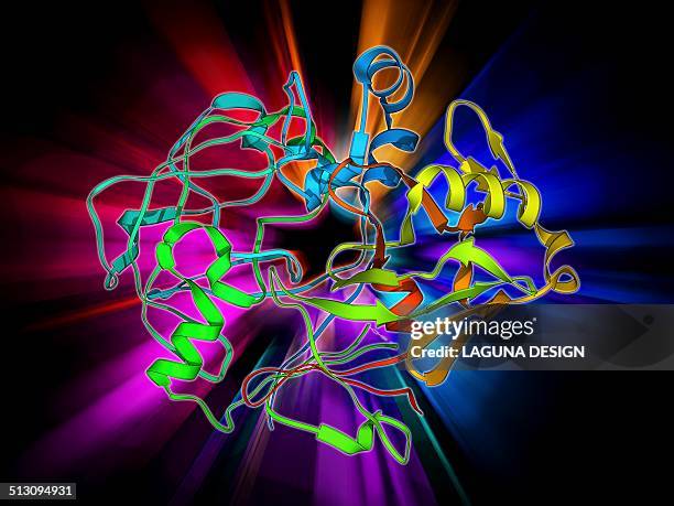 pepsinogen molecule - enzyme stock illustrations