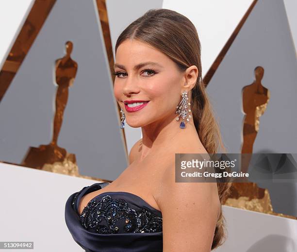 Actress Sofia Vergara arrives at the 88th Annual Academy Awards at Hollywood & Highland Center on February 28, 2016 in Hollywood, California.