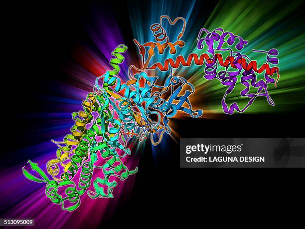 molecular motor protein - muscle contraction stock illustrations