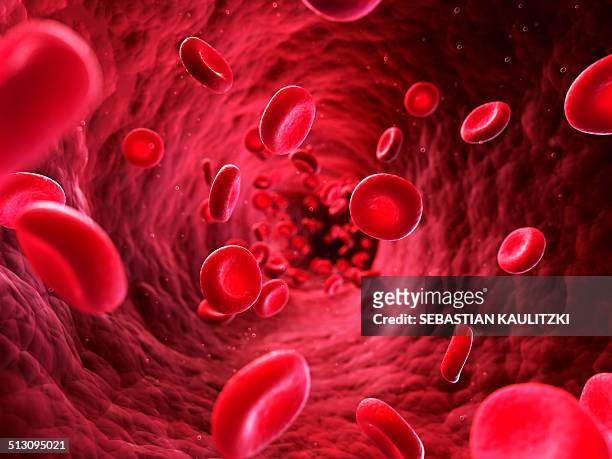 human red blood cells, artwork - red blood cells stock illustrations