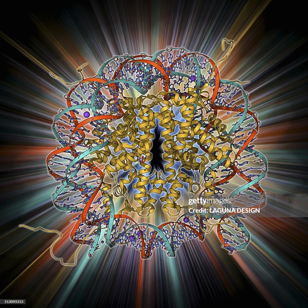 Nucleosome molecule