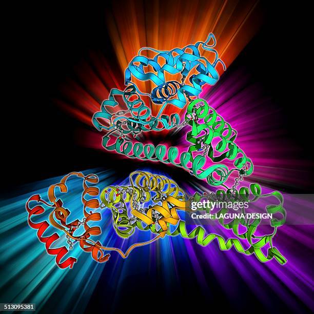 ilustraciones, imágenes clip art, dibujos animados e iconos de stock de human serum albumin molecule - albumin