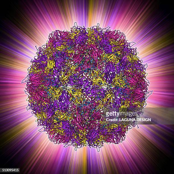 poliovirus particle - protein coat stock illustrations
