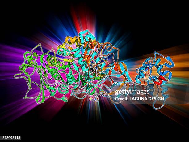 bacterial biofilm enzyme - biofilm organism stock illustrations