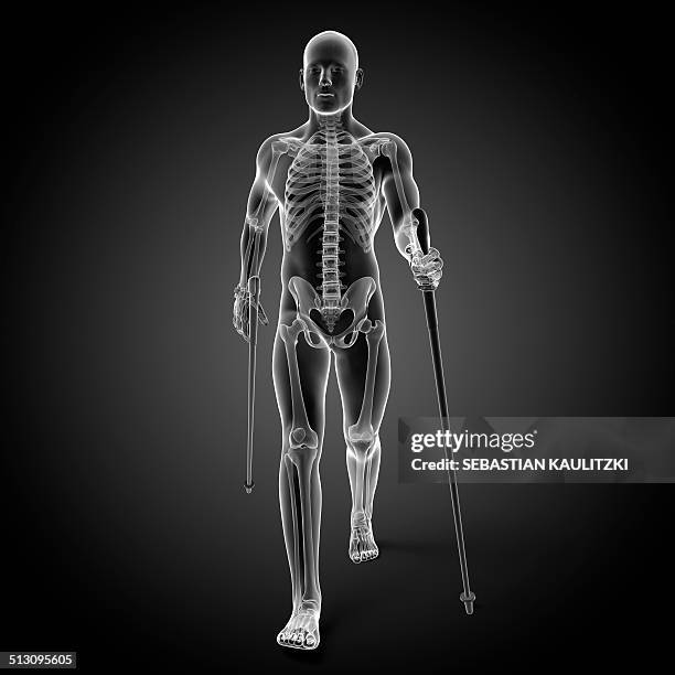 nordic walker, artwork - nordic walking stock illustrations