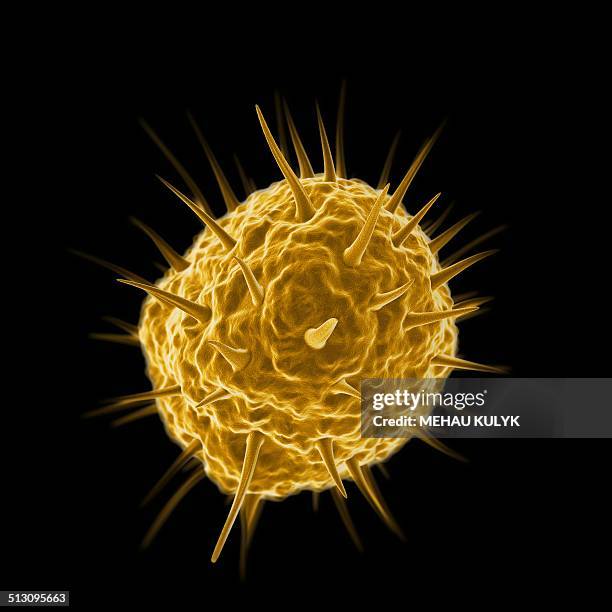 mimivirus, artwork - mimivirus stock illustrations