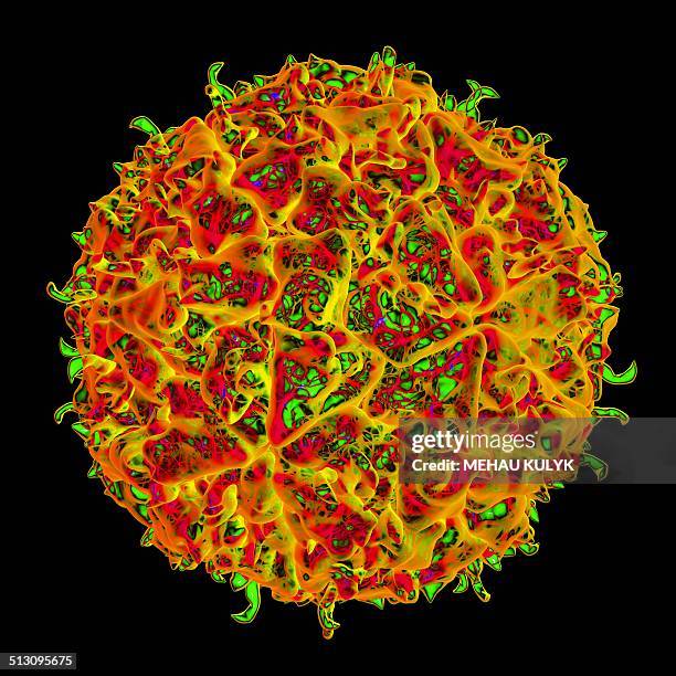 theiler's murine encephalomyelitis virus - murine 幅插畫檔、美工圖案、卡通及圖標