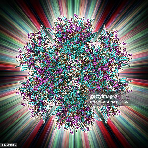 ilustrações de stock, clip art, desenhos animados e ícones de adenovirus penton base protein - adenovírus