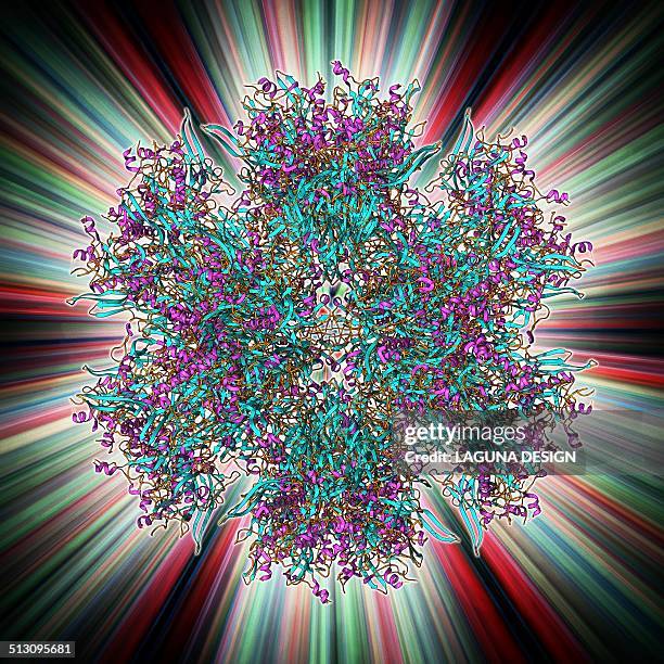 adenovirus penton base protein - adenovirus stock illustrations