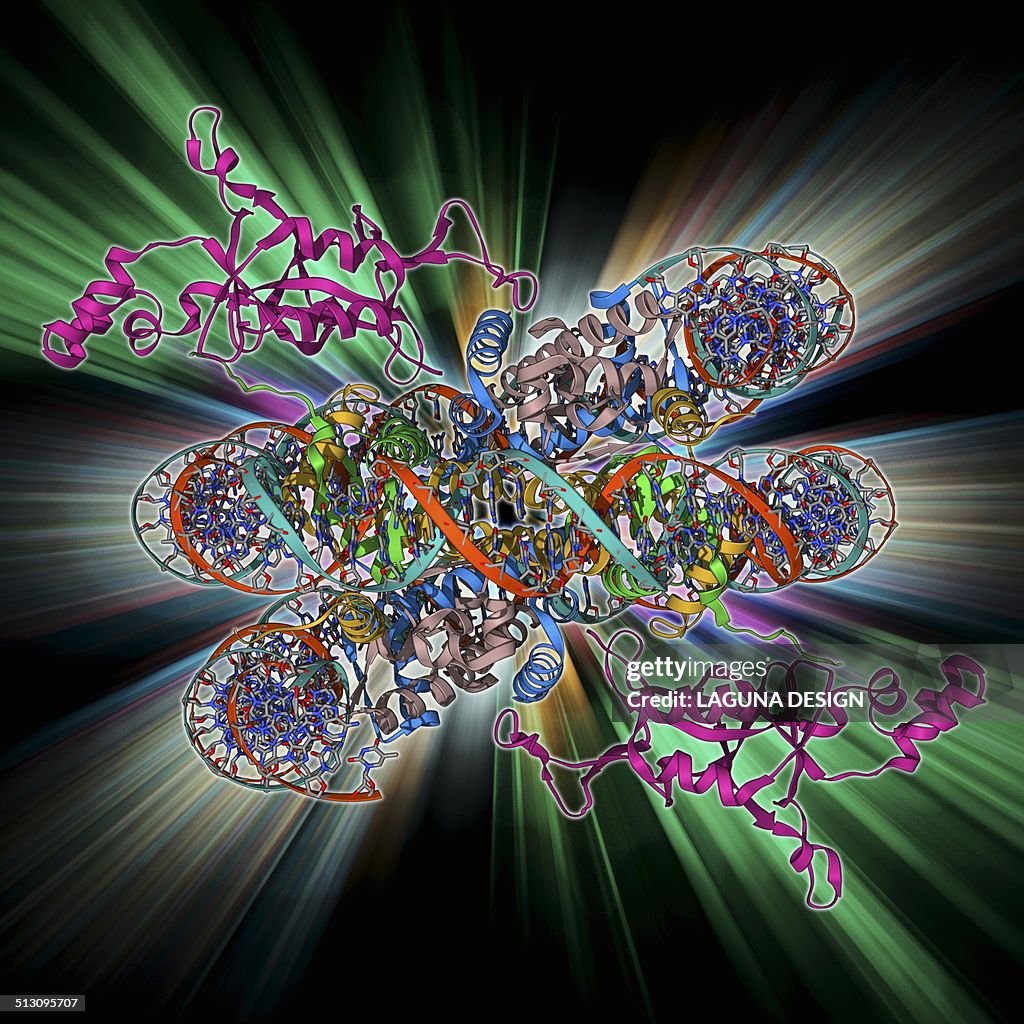 Sir3 gene silencer acting on DNA