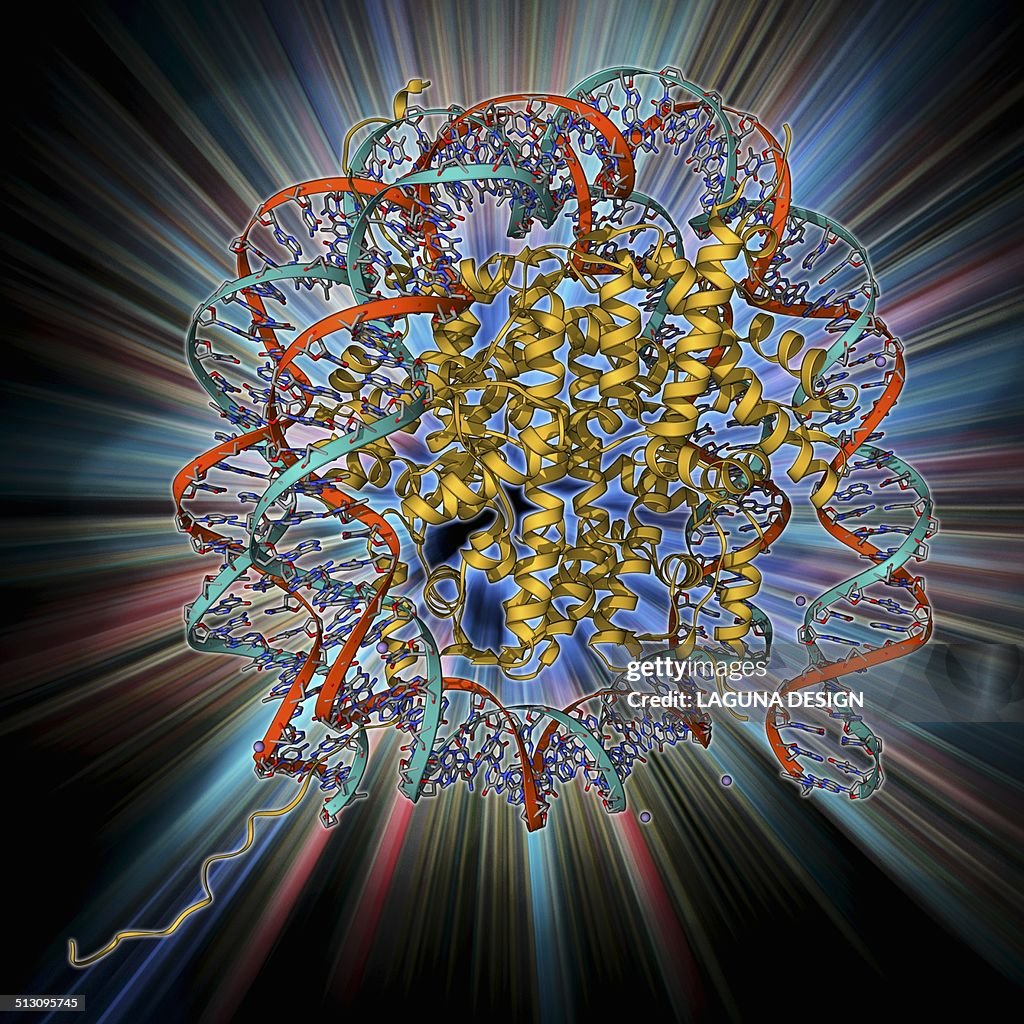 Nucleosome molecule