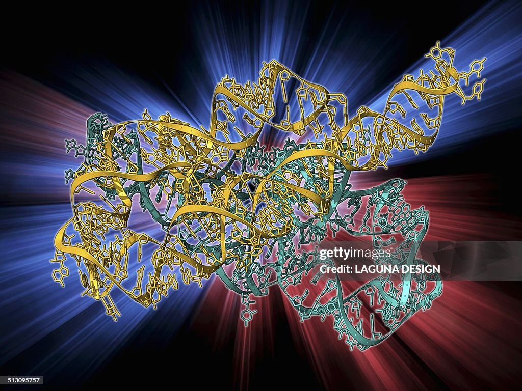 Recombinase Ribozyme Ribozyme Enzyme And Rna High-Res Vector Graphic - Getty Images
