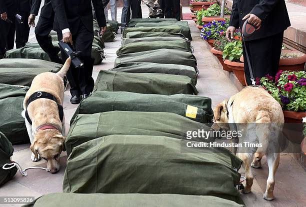 Security personnel helps special trained dogs checking the budget papers before carrying inside the Parliament during the Budget Session, on February...