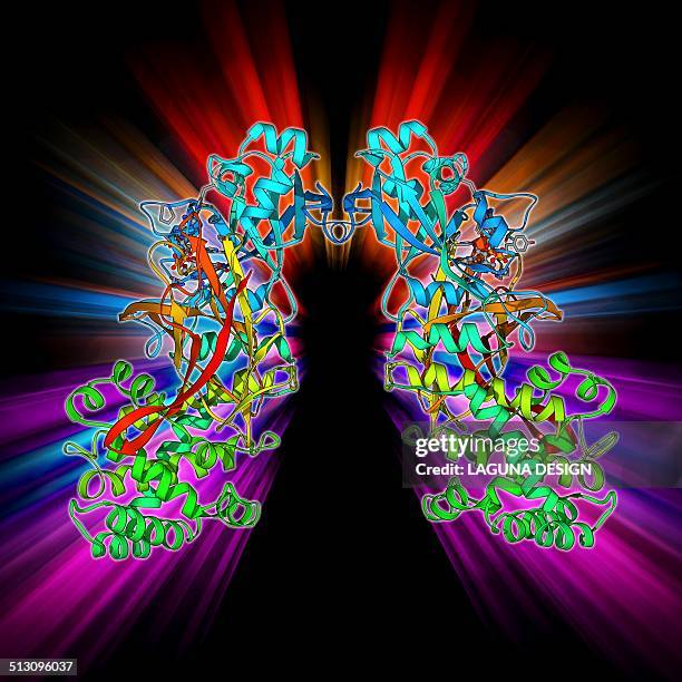 diphtheria toxin, molecular model - corynebacterium diphtheriae stock illustrations