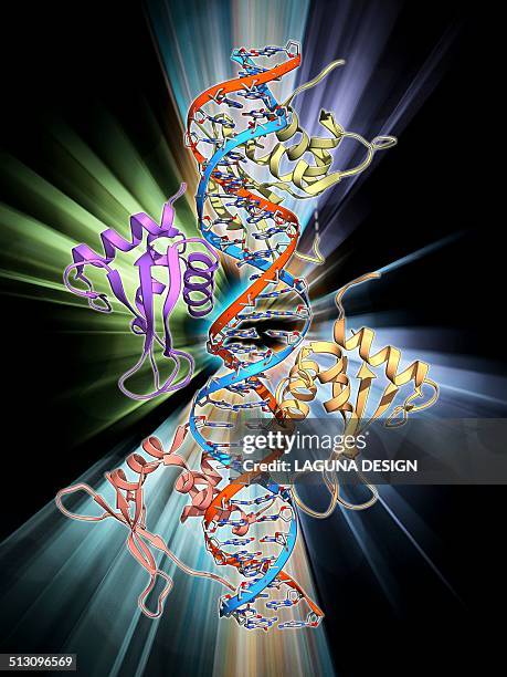Enterfiron 15 Interferon High Res Illustrations - Getty Images