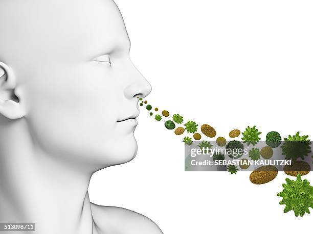 person breathing in pollen, artwork - pollen stock illustrations