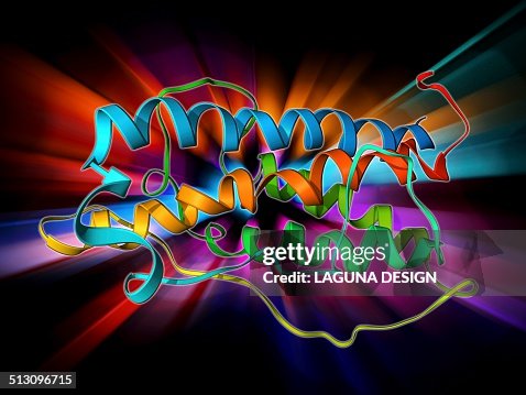 Human growth hormone molecule Human growth hormone molecule