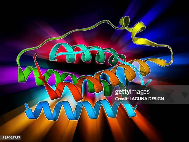 leptin molecule - limbic system stock illustrations