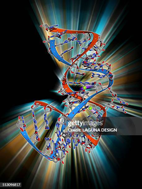 internal ribosome entry site - ribosome stock illustrations