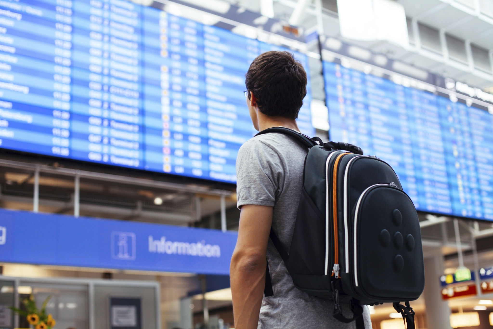 timely travel