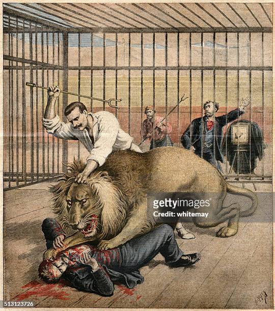 ilustraciones, imágenes clip art, dibujos animados e iconos de stock de hombre que se ha atacado por un león en jaula - animal tamer
