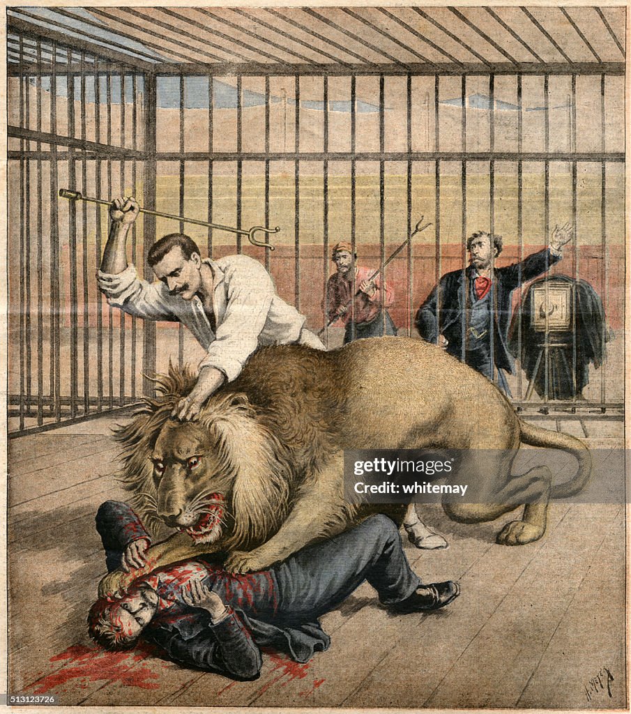 Man being attacked by a caged lion