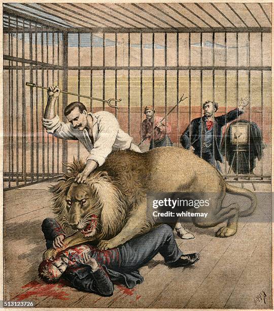man being attacked by a caged lion - 被囚禁動物 幅插畫檔、美工圖案、卡通及圖標