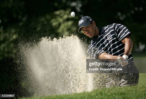 Team player Tiger Woods blasts out from a bunker on the 11th hole during the final practice day for the 35th Ryder Cup Matches at the Oakland Hills...