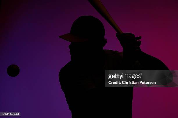 Bruce Maxwell of the Oakland Athletics poses for a portrait during the spring training photo day at HoHoKam Stadium on February 29, 2016 in Mesa,...