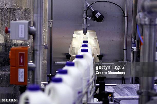 Bottles of milk are rinsed after being filled on the production line at the a2 Milk Co. Plant in Sydney, Australia, on Friday, Feb. 26, 2016. Founded...