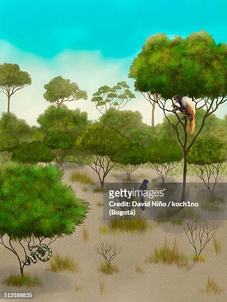 dry forest in colombia - niño 幅插畫檔、美工圖案、卡通及圖標