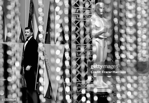 An Alternative View Of The 88th Annual Academy Awards at Hollywood & Highland Center on February 28, 2016 in Hollywood, California.