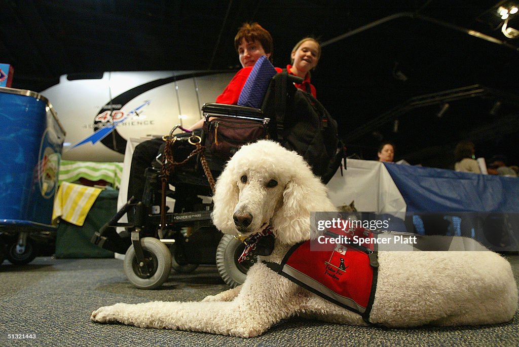 Rescue And Service Dogs Honored For Service