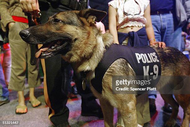 Zilke, a K-9 patrol dog with the New Jersey Police Department, attends the third annual Search and Rescue and Service Dog Day and Awards for...