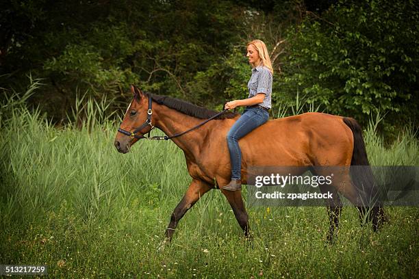 Horse Side View Photos and Premium High Res Pictures - Getty Images