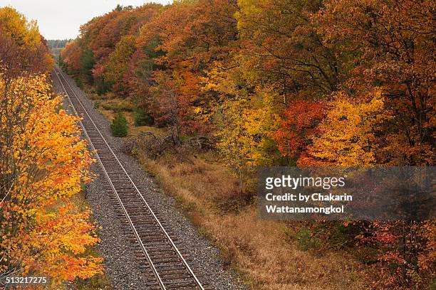 railway in autumn - パリーサウンド ストックフォトと画像