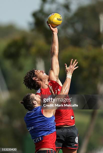 Kurt Tippett of the Swans takes a mark during a Sydney Swans AFL training session at Drummoyne Oval on March 2, 2016 in Sydney, Australia.