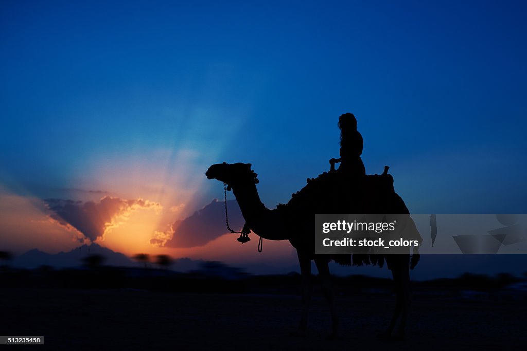 Exciting sunset riding a camel